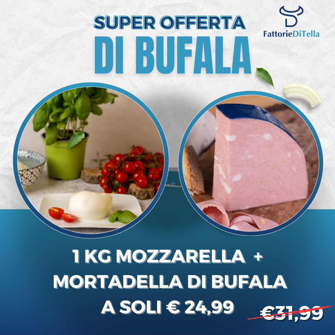 MOZZARELLA + MORTADELLA DI BUFALA