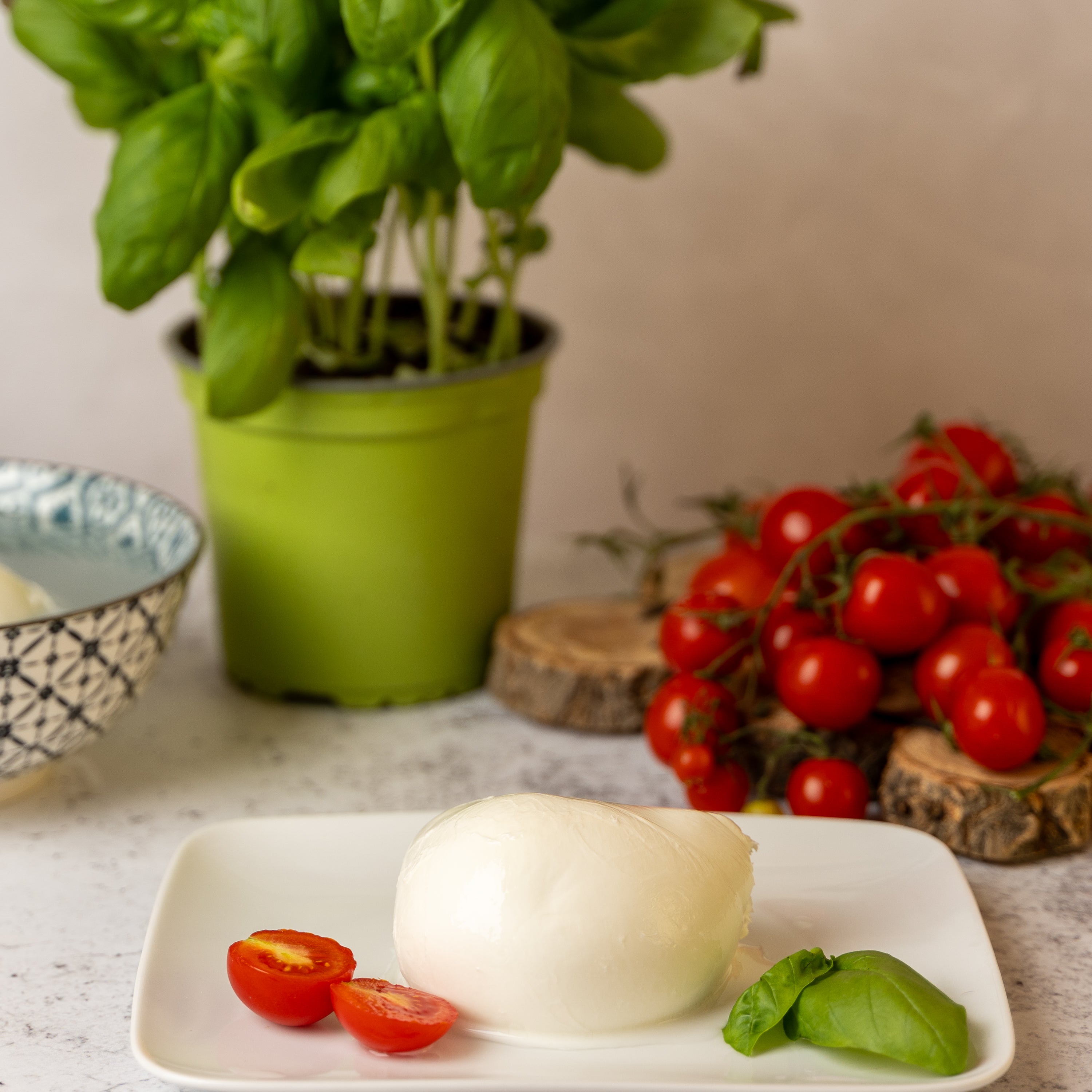 LAGO DIANA 25 APRILE Mozzarella pezzatura da 125g