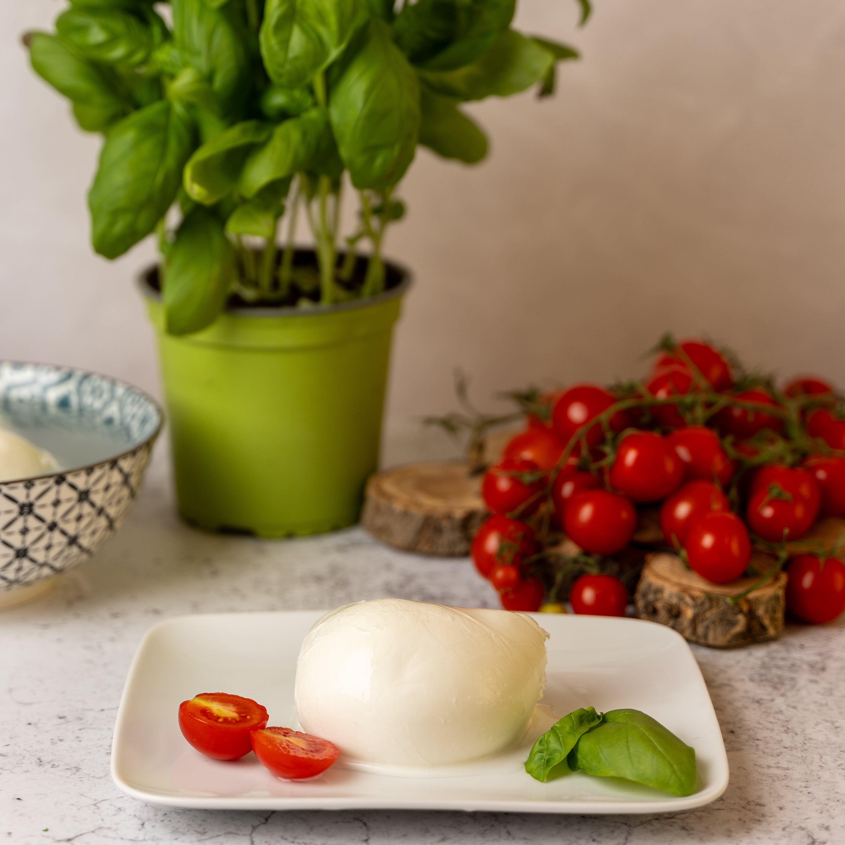 LAGO DIANA 25 APRILE Mozzarella pezzatura da 250g